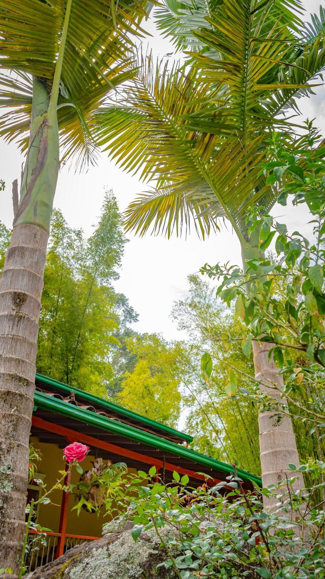 Kantarrana Casa De Campo Jardin Exteriér fotografie